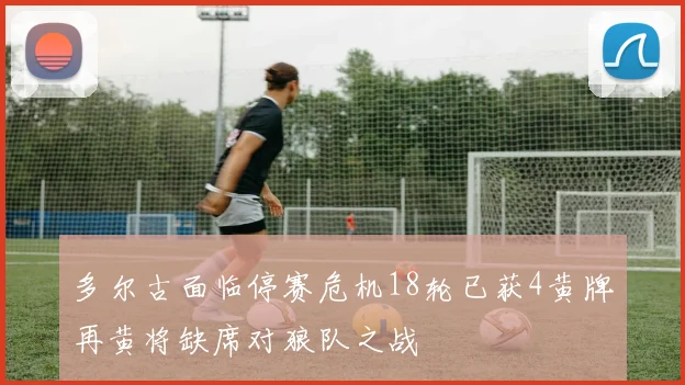 多尔古面临停赛危机18轮已获4黄牌再黄将缺席对狼队之战