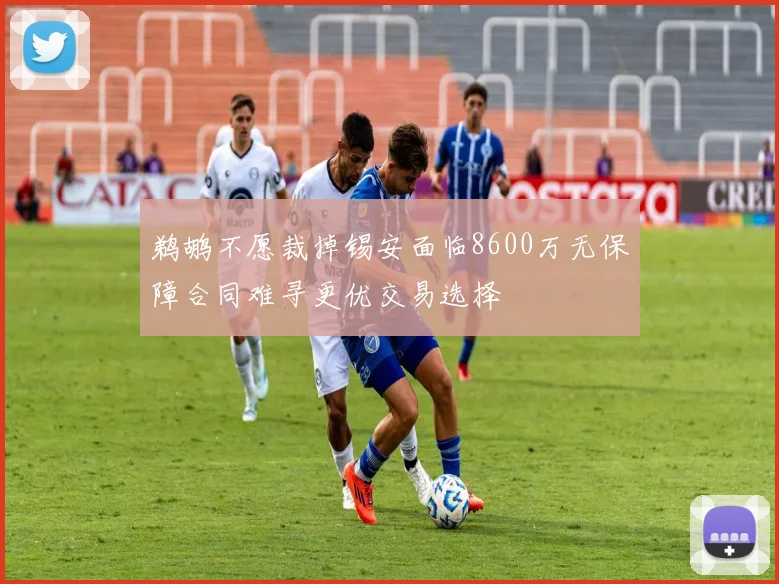 鹈鹕不愿裁掉锡安面临8600万无保障合同难寻更优交易选择